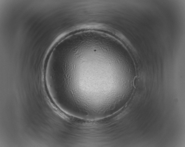 X0000081351232200701111446