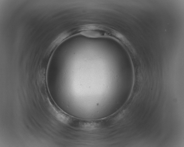 X0000081351233200701111446