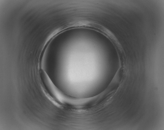 X0000081351234200701111446
