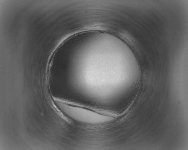 X0000081351236200701111446