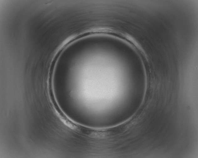X0000081351237200701111446