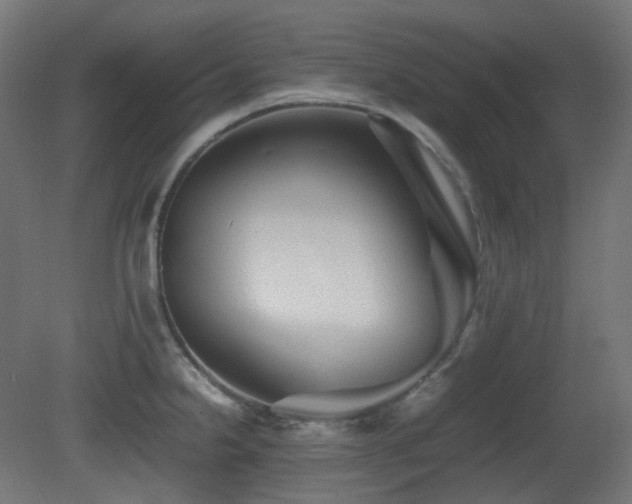 X0000081351238200701111446