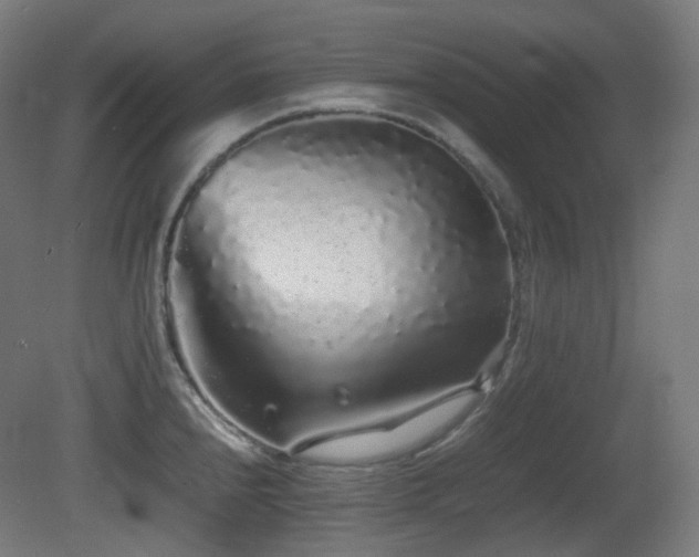 X0000081351240200701111446