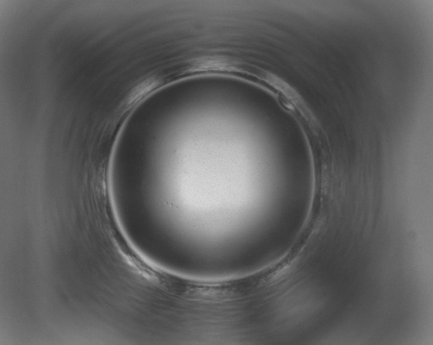 X0000081351241200701111447