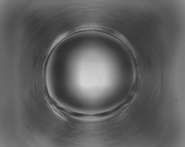 X0000081351242200701111447