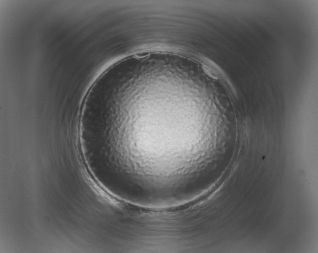 X0000081351244200701111447