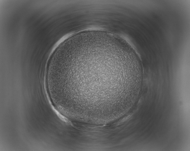X0000081351245200701111447