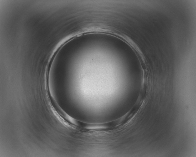 X0000081351246200701111447