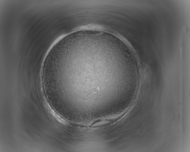 X0000081351248200701111447
