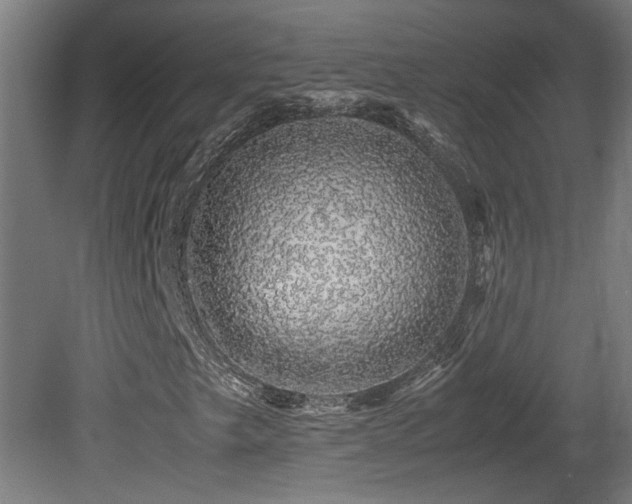X0000081351249200701111446