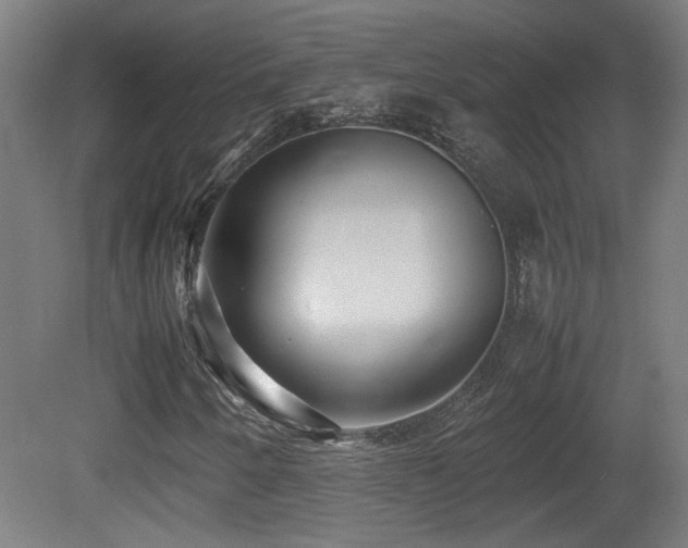 X0000081351250200701111446