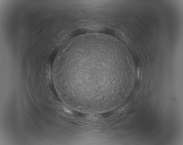 X0000081351251200701111446