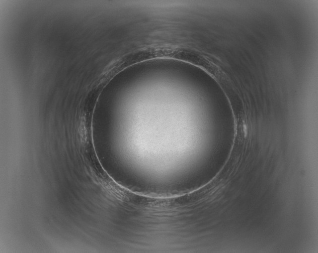 X0000081351252200701111446