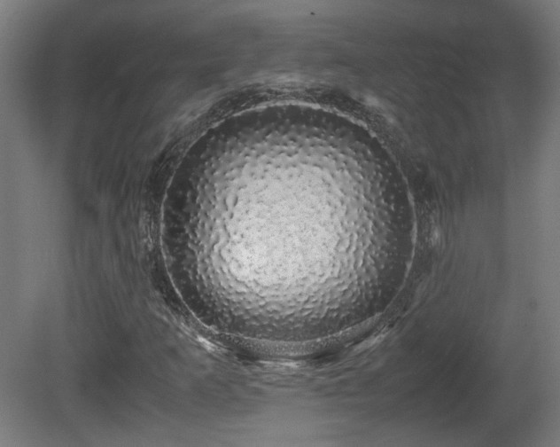X0000081351253200701111446