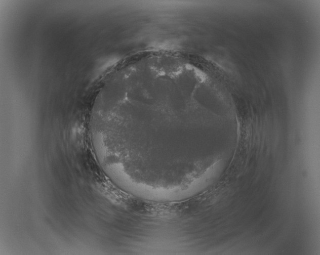 X0000081351254200701111446
