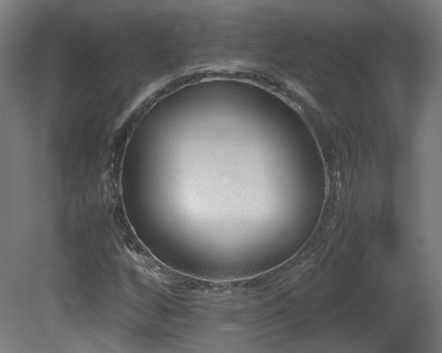X0000081351256200701111446