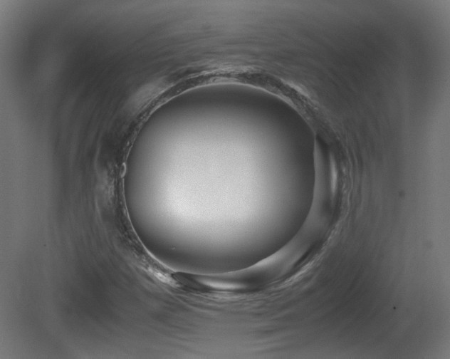 X0000081351257200701111446