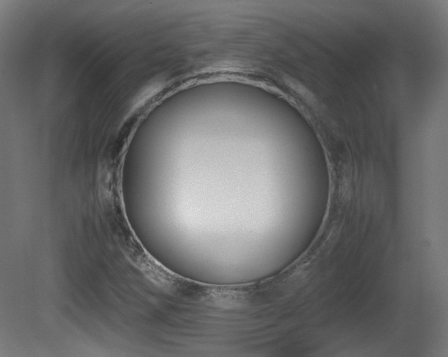 X0000081351258200701111446