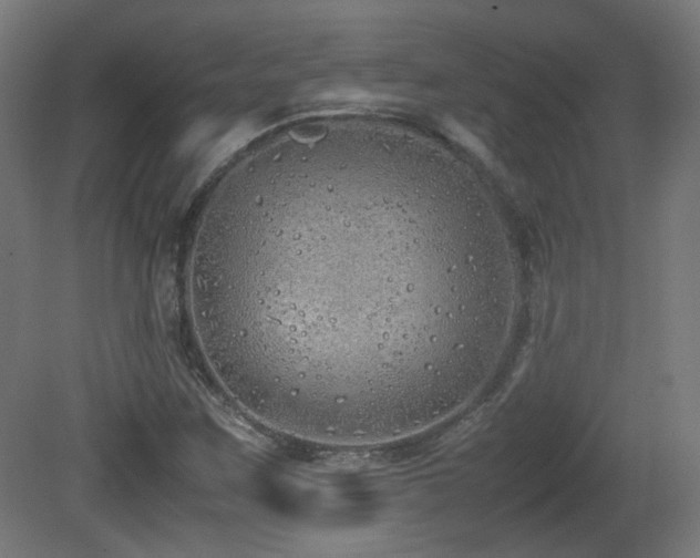 X0000081351259200701111446