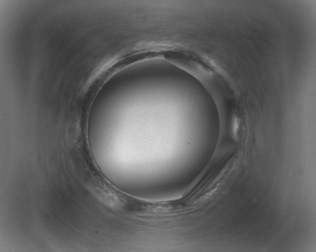 X0000081351261200701111446