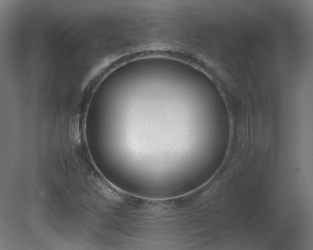 X0000081351262200701111446