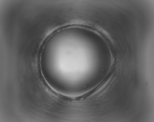 X0000081351264200701111446