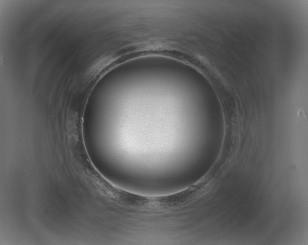 X0000081351265200701111446