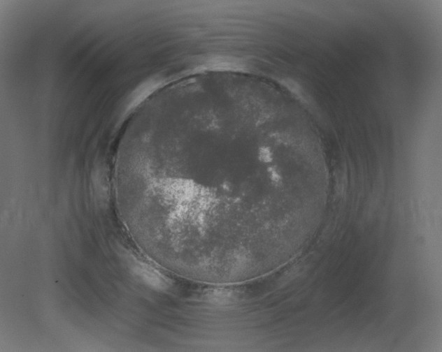X0000081351266200701111446