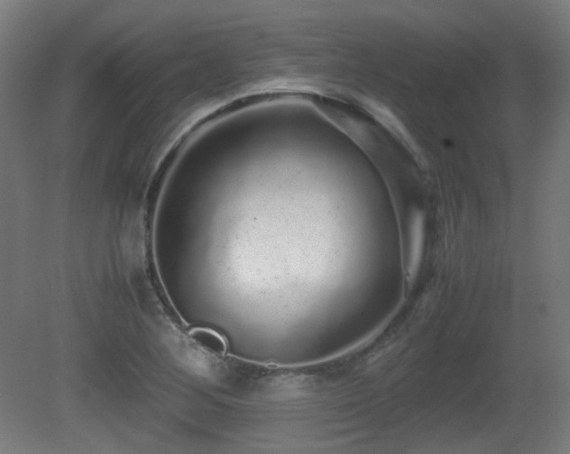 X0000081351268200701111445