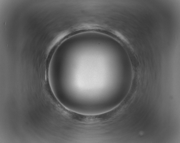X0000081351269200701111445
