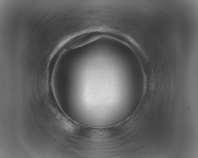 X0000081351270200701111445