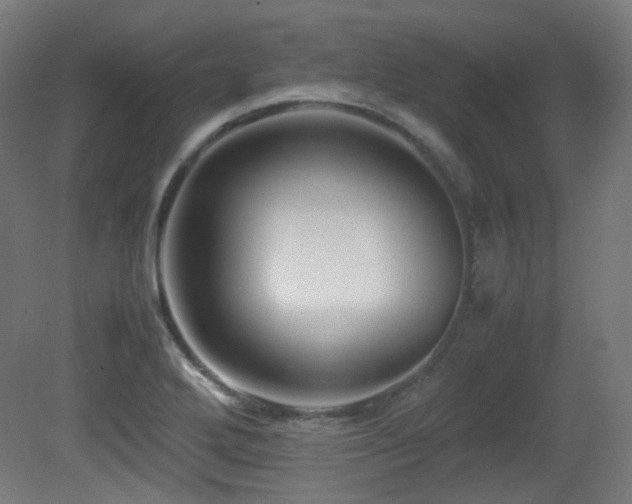 X0000081351272200701111445