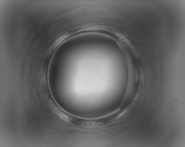 X0000081351273200701111445