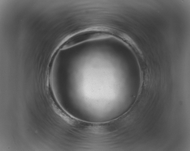 X0000081351276200701111445