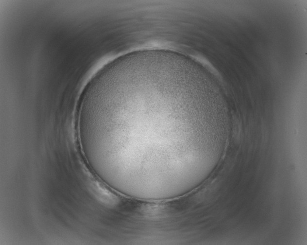 X0000081351278200701111445
