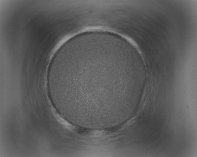 X0000081351279200701111445