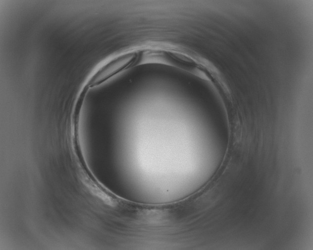 X0000081351280200701111445