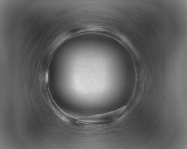 X0000081351281200701111445