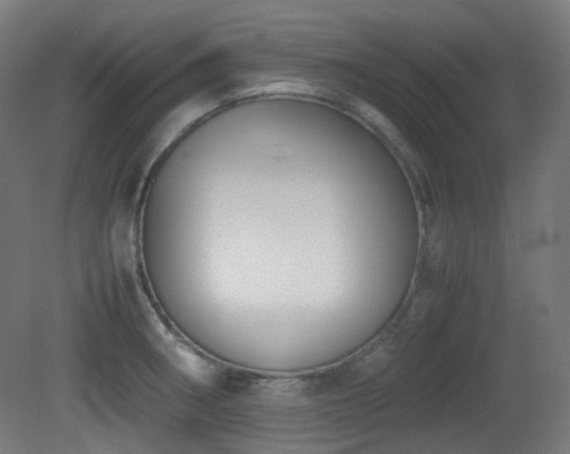 X0000081351282200701111445