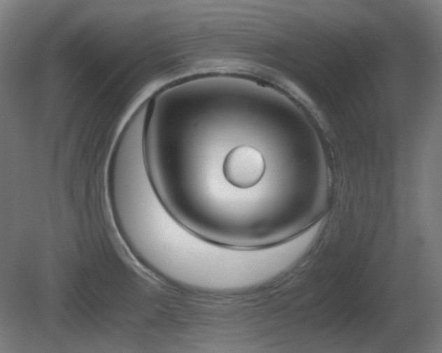 X0000081351283200701111445