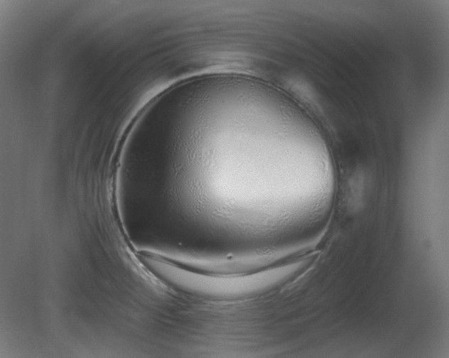 X0000081351284200701111445