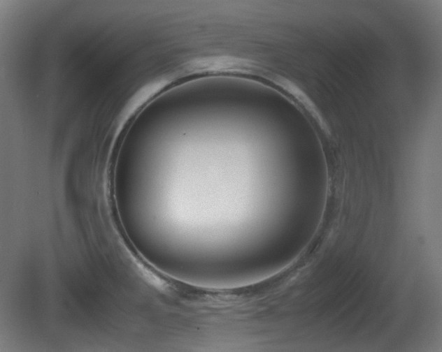X0000081351285200701111445