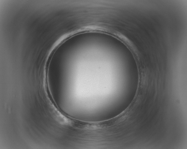 X0000081351286200701111445