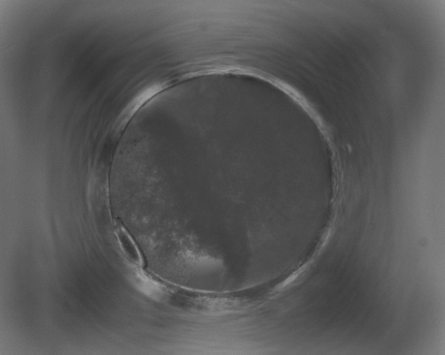 X0000081351289200701111445