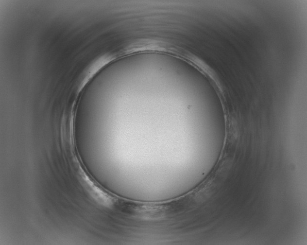 X0000081351290200701111445