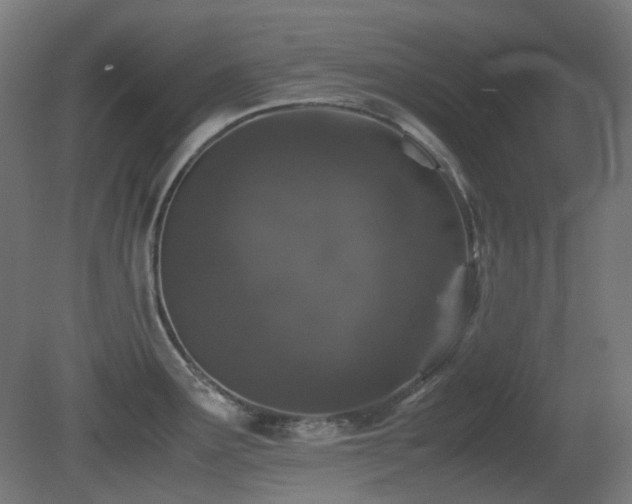 X0000081351291200701111445