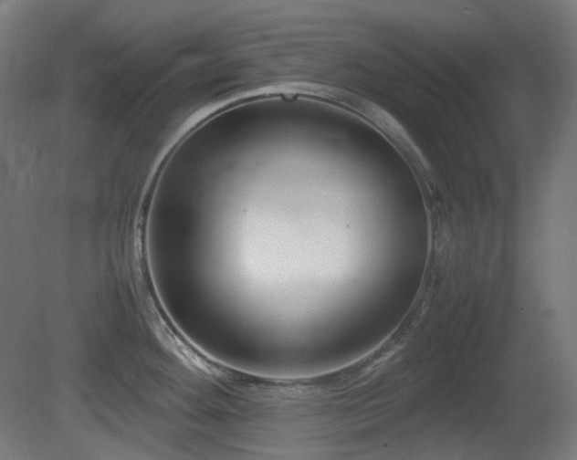 X0000081351292200701111445
