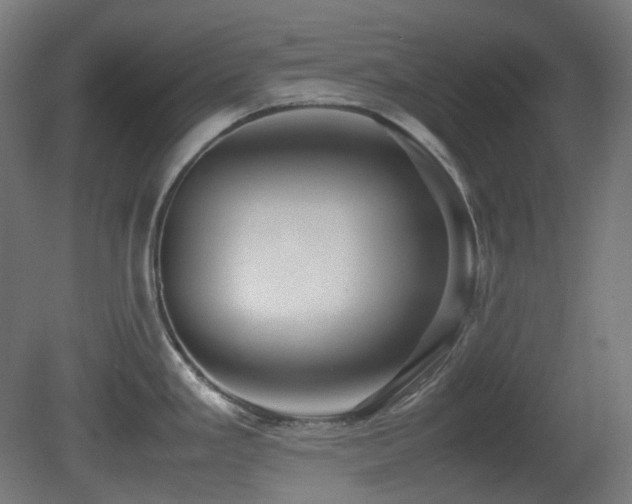 X0000081351293200701111445