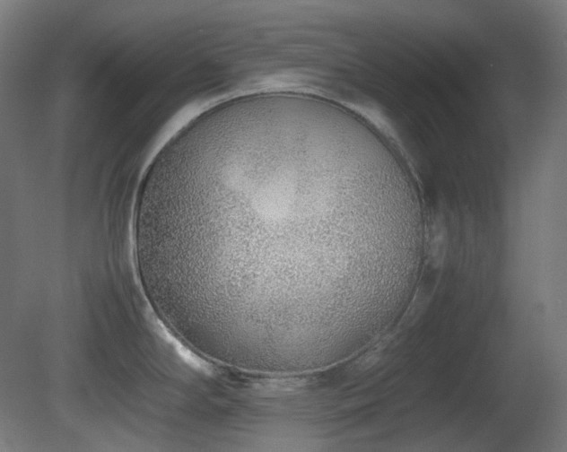 X0000081351294200701111445