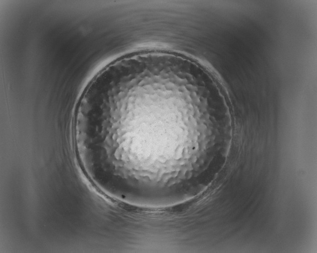 X0000081351295200701111445